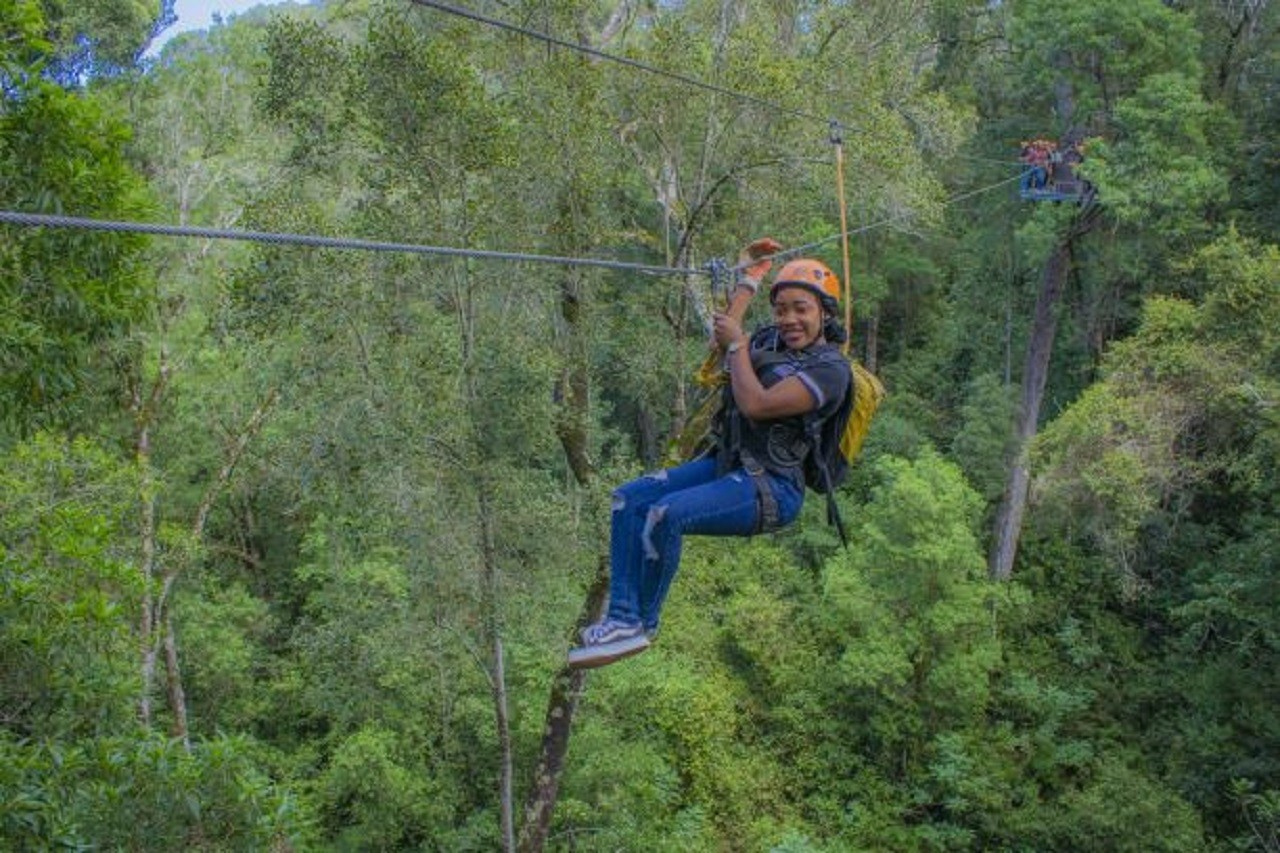 Zipline Canopy Tour